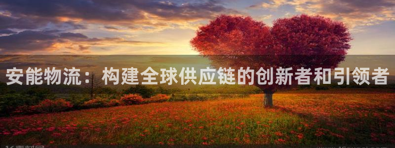 豪门国际注册官网:安能物流:构建全球