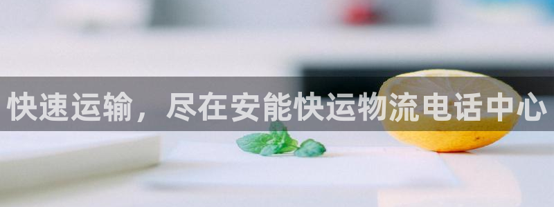 豪门国际注册二维码：快速运输，尽在安