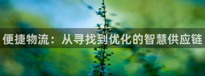 豪门国际比特28预测在线预测：便捷物