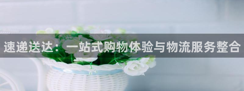 豪门国际吧：速递送达：一站式购物体验