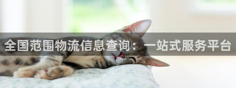 豪门国际是南宫旗下的吗：全国范围物流