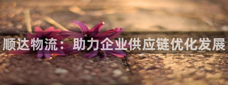 豪门国际软件堵什么反什么：顺达物流：
