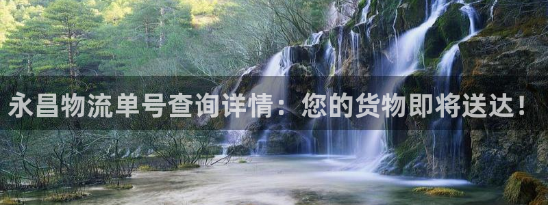 豪门国际里的财神：永昌物流单号查询详