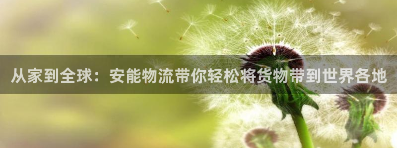 豪门国际能不能退：从家到全球：安能物