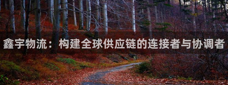 豪门国际注册网址：鑫宇物流：构建全球
