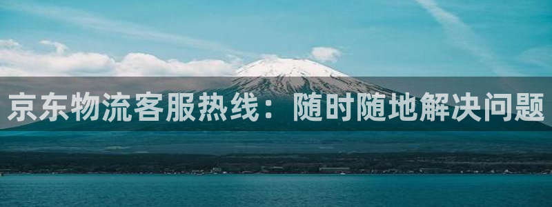 豪门国际注册用户名是什么:京东物流客