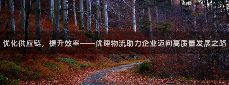 豪门国际自行车图片