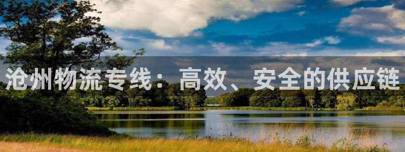 豪门国际开奖预测:沧州物流专线:高效