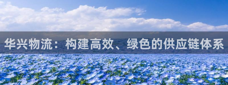 豪门国际加拿大app预测：华兴物流：