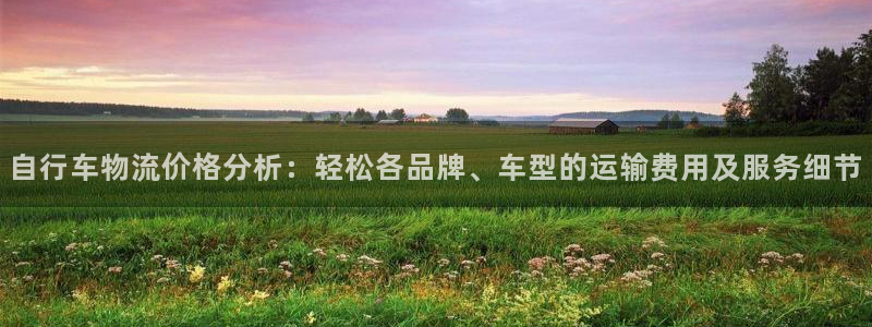 豪门国际游戏链接：自行车物流价格分析