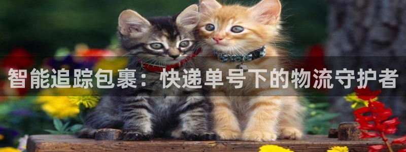豪门国际稳吗：智能追踪包裹：快递单号
