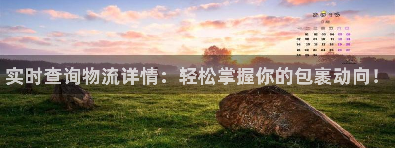 豪门国际是什么软件:实时查询物流详情