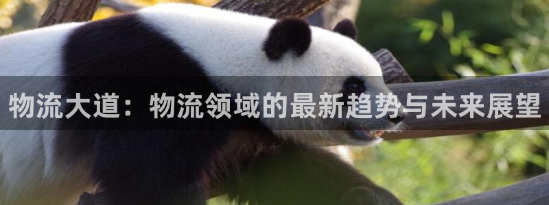 豪门国际aPP退款：物流大道：物流领